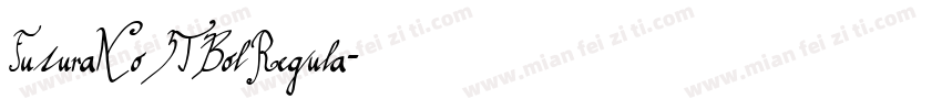FuturaNo3TBol Regula字体转换